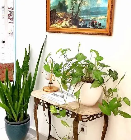 Habitación en casa particular & Flower 3 Funchal (Madeira)